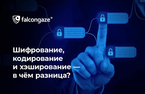 Хэширование: барьер для атак и гарантия целостности информации