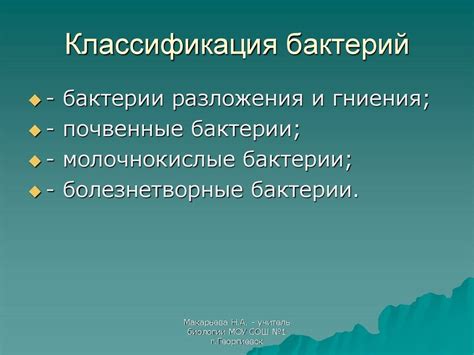 Ценные микроорганизмы йогурта