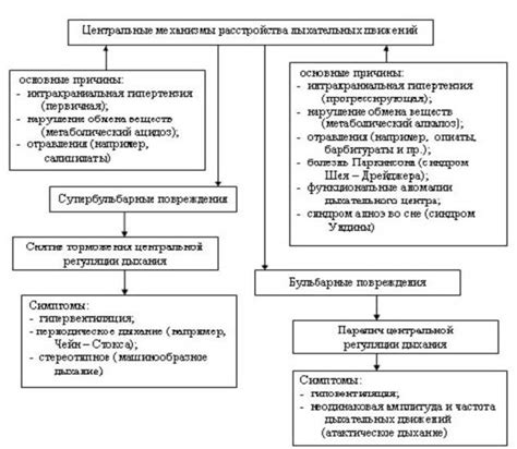 Центральные механизмы контроля дыхательных движений