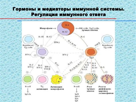 Цитокины: ключевые медиаторы противовирусного ответа