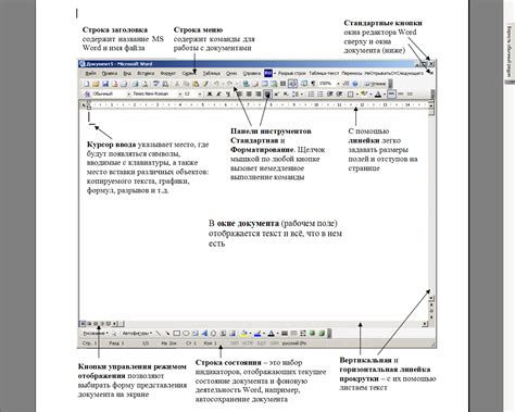 Часто встречающиеся проблемы при работе с отображением границ документа в Word