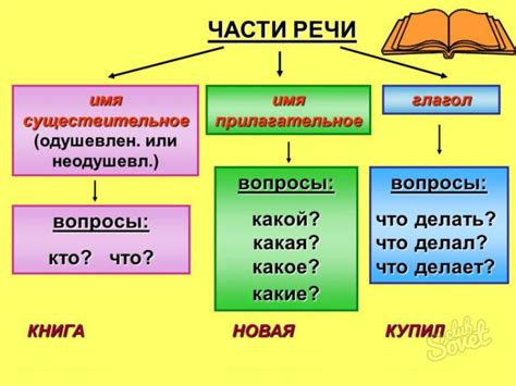 Часть речи в русском языке: что это такое и как ее определить?