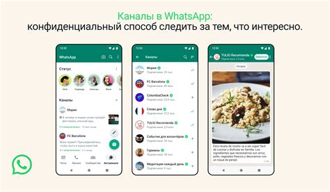 Что значит архивированный диалог в мессенджере WhatsApp для пользователей iPhone?