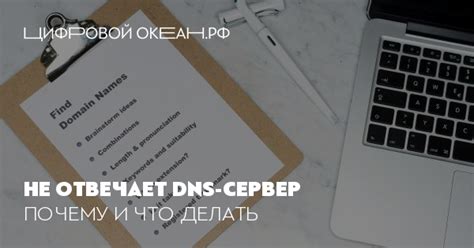 Что значит отсутствие связи с DNS сервером?