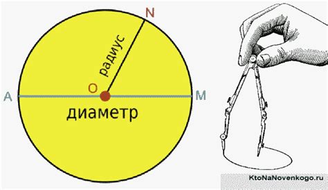 Что такое диаметр и как его измерить