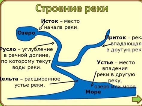 Что такое защитная полоса реки и почему она важна?