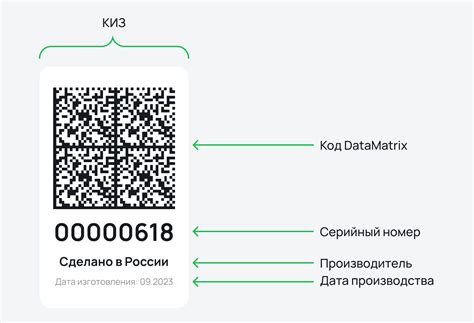 Что такое идентификационный номер КИЗ и как он связан с кодированием Data Matrix?