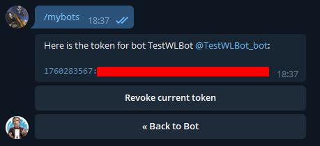 Что такое неверный ключ Bot API