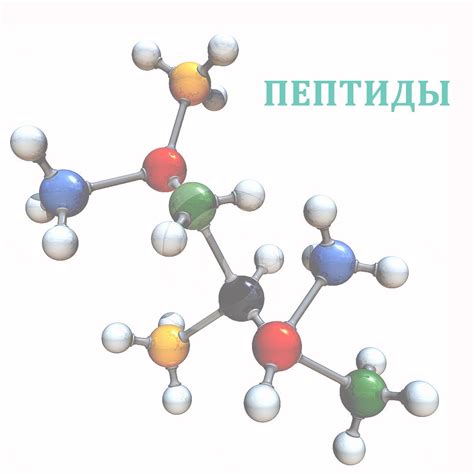 Что такое пептиды и как они функционируют?