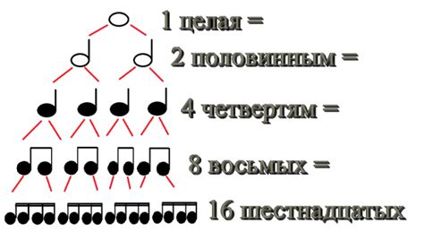 Что такое ритм суточной активности и как он воздействует на организм