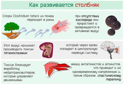 Что такое столбняк и как он передается?