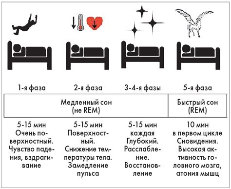 Что такое фаза глубокого сна?