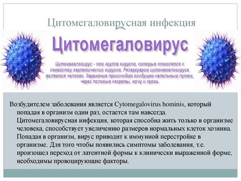 Что такое цитомегаловирус и как он передается?