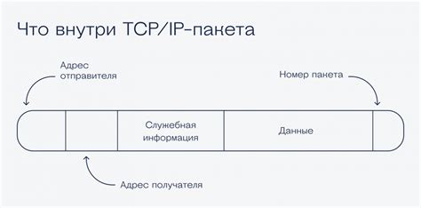 Что такое TCP-порт и как он функционирует в сети