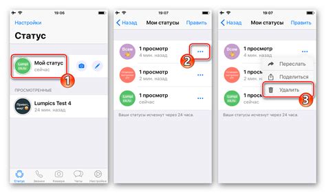 Шаги для снятия привилегий "расширенного" статуса на iOS-устройствах