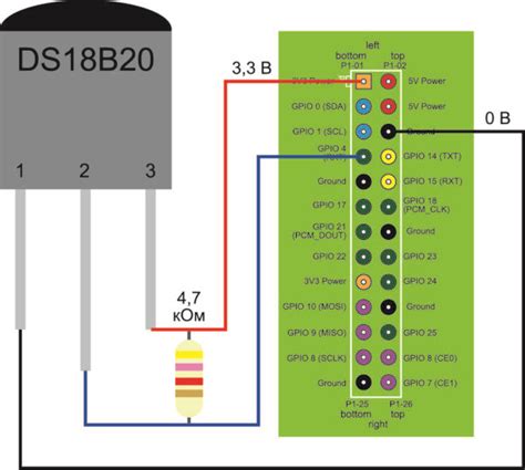 Шаги подключения и программирования термодатчика к Raspberry Pi