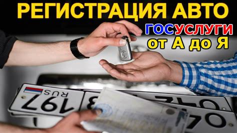 Шаг за шагом: полный процесс установки специальной защиты на автомобиль