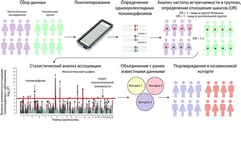 Шаг 1: Определение подходящей территории для проведения измерений