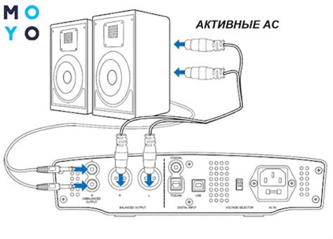 Шаг 2: Подключение акустической системы к источнику электропитания