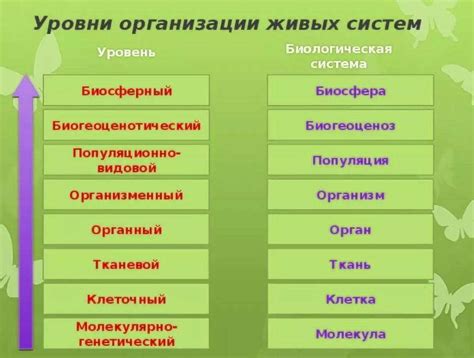 Шаг 5: Охрана и регенерация уникальных биосистем