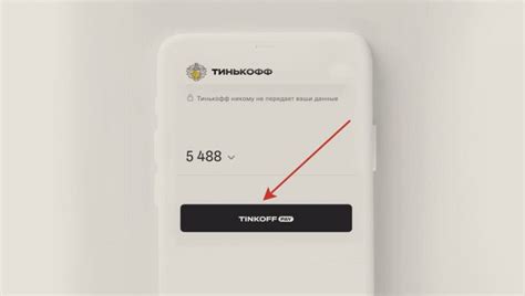 Шаг 6: Применение Тинькофф Пей в действии
