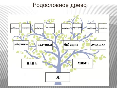 Эволюция Фокина как распространенного фамилии в разных регионах