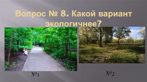 Экологическая составляющая: какой вариант выбора более экологичен?