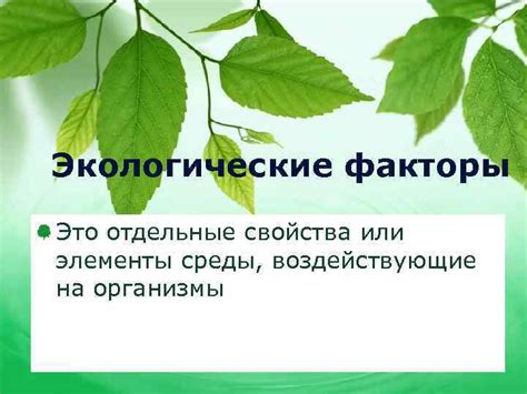 Экологические факторы, воздействующие на процесс формирования плодов