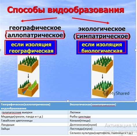 Экологическое сравнение: учитывая природные аспекты, какая плита более экологична?