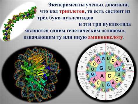 Эксперименты с генетическим фактором: условия эволюции