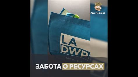 Энергоэффективность и долговечность: забота о ресурсах и долговременное использование