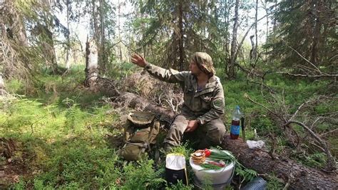 Эсотерическая тайна сна о сборе лесных ягод в тайге