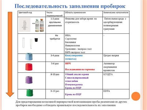 Этапы аутентификации: процесс сбора проб, анализ в лаборатории и интерпретация результатов