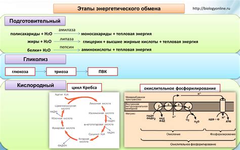 Этапы восстановления энергетического элемента инструмента производства компании Бош