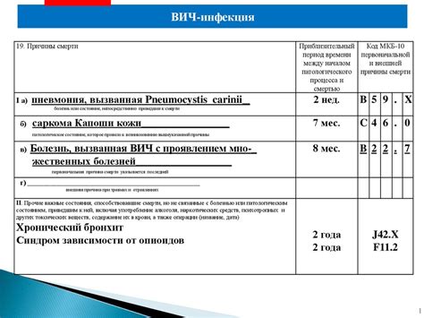 Этапы оформления медицинской документации: от подачи заявки до получения медицинской книжки