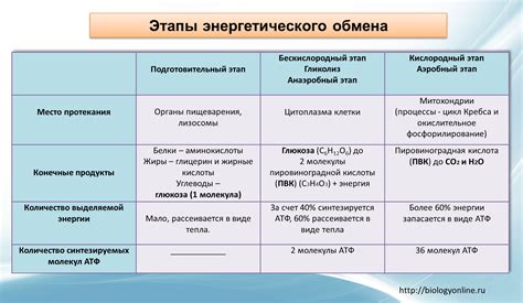 Этапы формирования искусственного энергетического центра без специальной подготовки