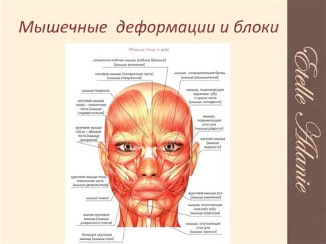 Этап 2: Парный подход к омоложению области кутикулы