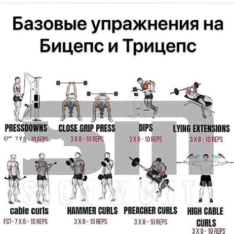 Эффективная база для тренировок с шейпером в домашних условиях: секреты успеха