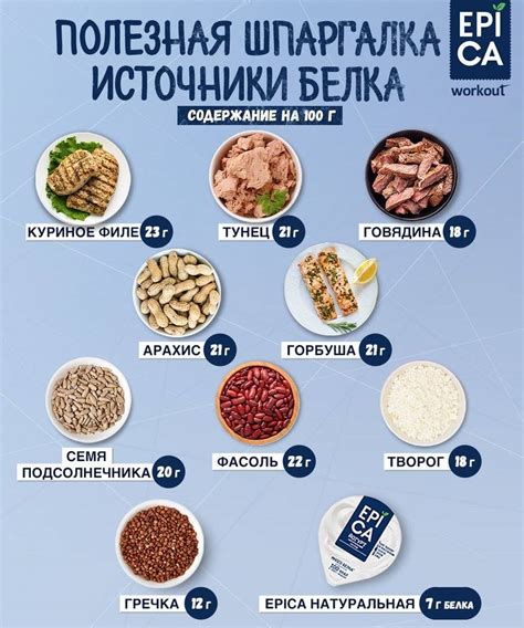  Белковая пища: какое мясо предпочитают гастроподы?
