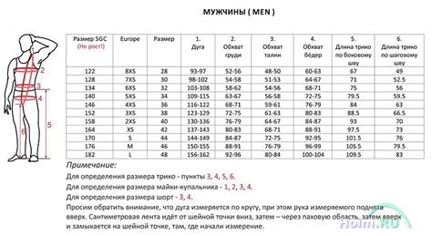  Важность ширины плеч и бёдер для привлекательности мужчин 