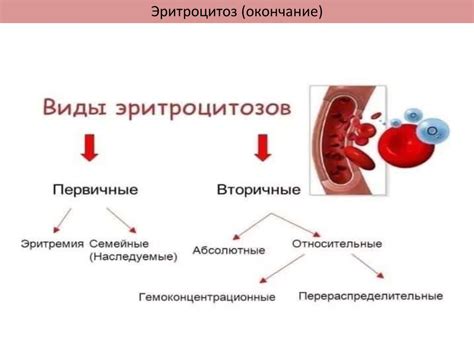  Важные аспекты питания при потере крови 