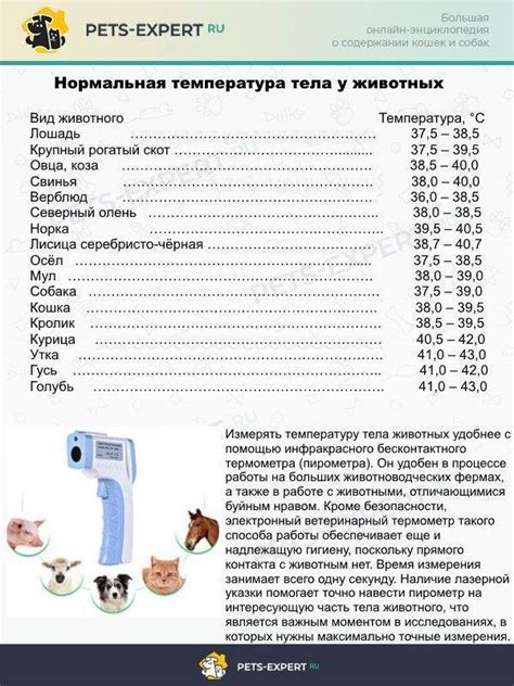  Визуальные признаки повышенной температуры у собаки 