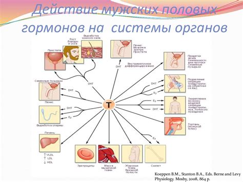  Влияние гормонов на физиологические процессы 