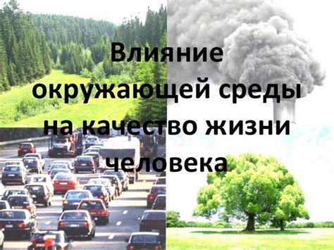  Влияние окружающей среды на качество сигнала: преодоление преград и устранение помех 