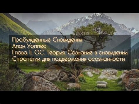  Грибологические интерпретации в сновидении для дамы в брачном союзе 