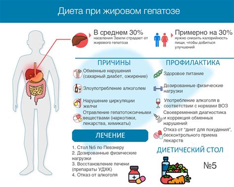  Диета для удаления жирового отложения: основные принципы и советы