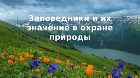  Значение заповедников в охране ирбисов и их среды обитания. Примеры успешных проектов.