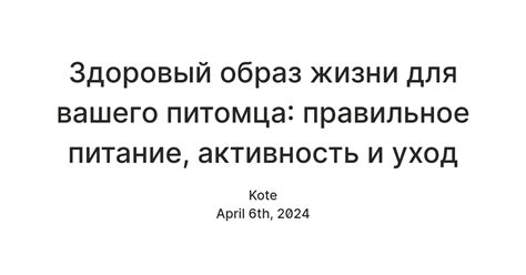  Избыточная активность и монотонность жизни питомца 