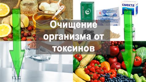  Изгнание токсинов из организма: роль магнитных массажных кружек