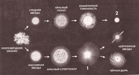  Изучение жизненного цикла звезд: роль спектрального класса